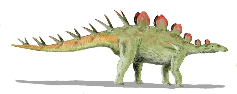 The Chialingosaurus card