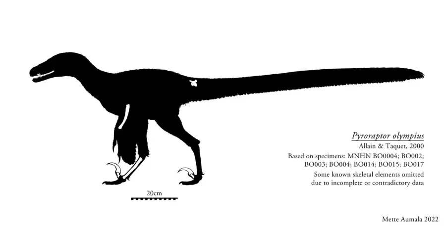La carte Pyroraptor
