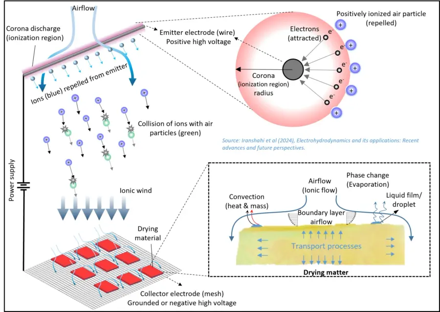 The Electrohydrodynamics card