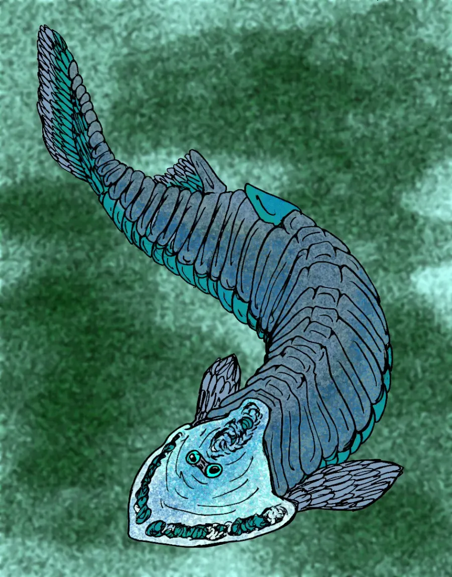 La carte Cephalaspis