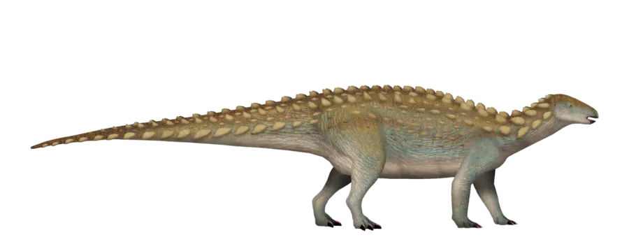 The Emausaurus card