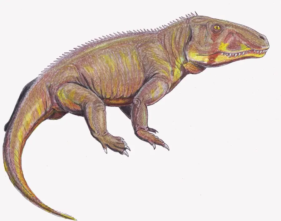 The Erythrosuchidae card