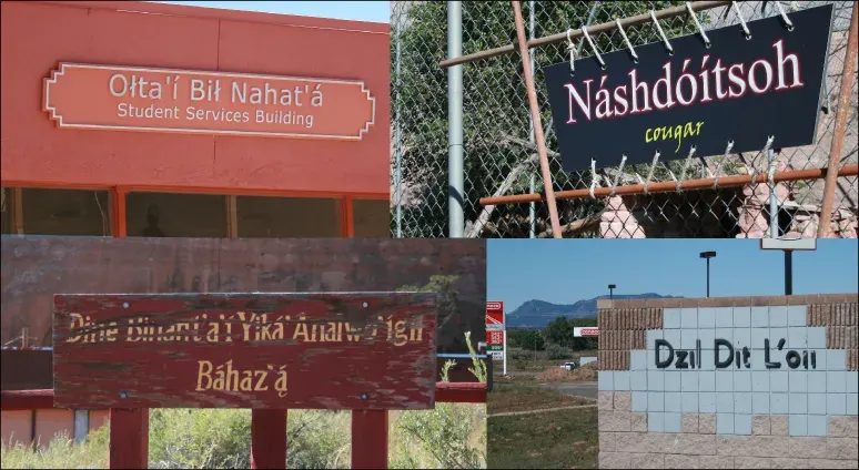 The Navajo language card