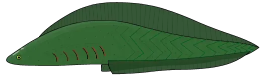 The Myllokunmingia card