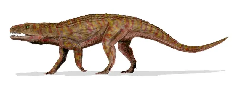 La carte Teratosaurus