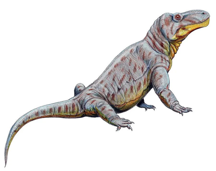The Titanosuchus card