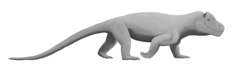 The Anteosaurus card
