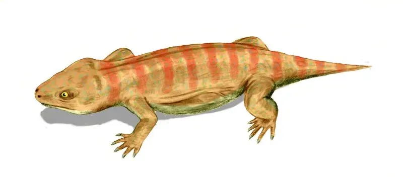 La carte Procolophonidae
