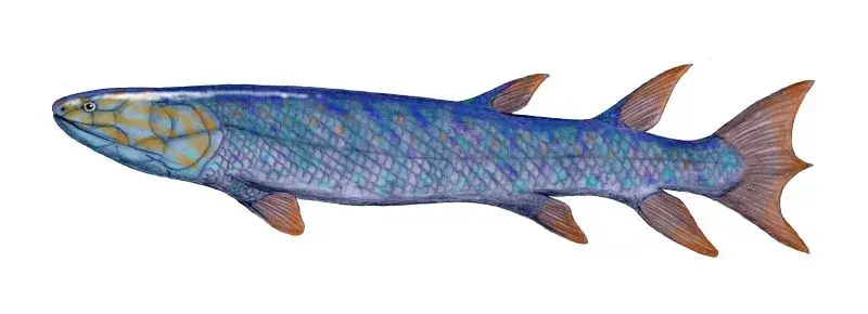 La carte Eusthenopteron