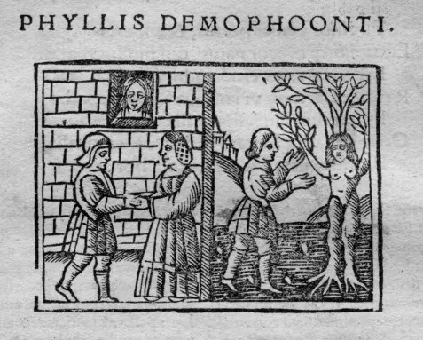 The Phyllis card