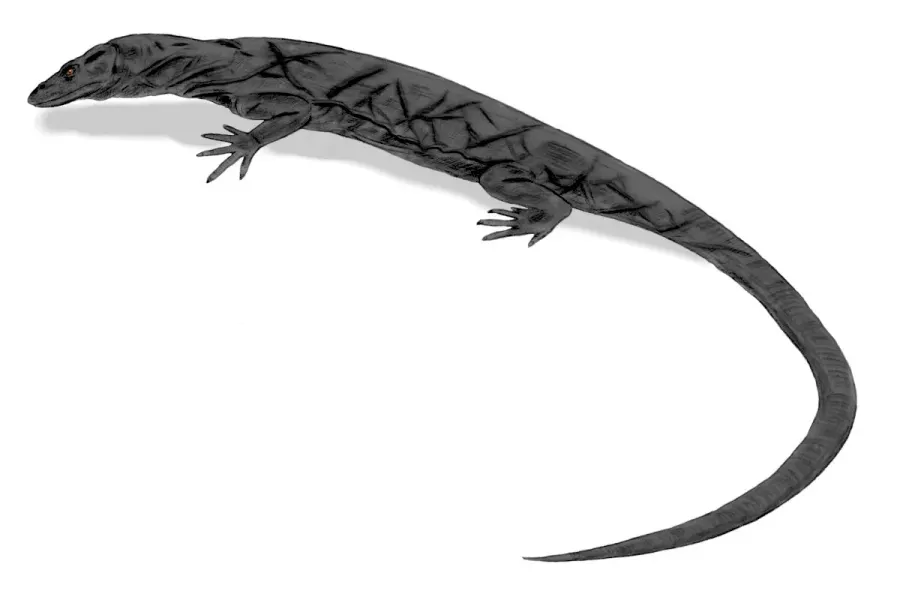 The Panay monitor card