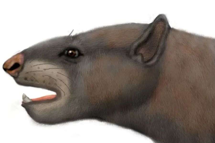 La carte Astrapotheria