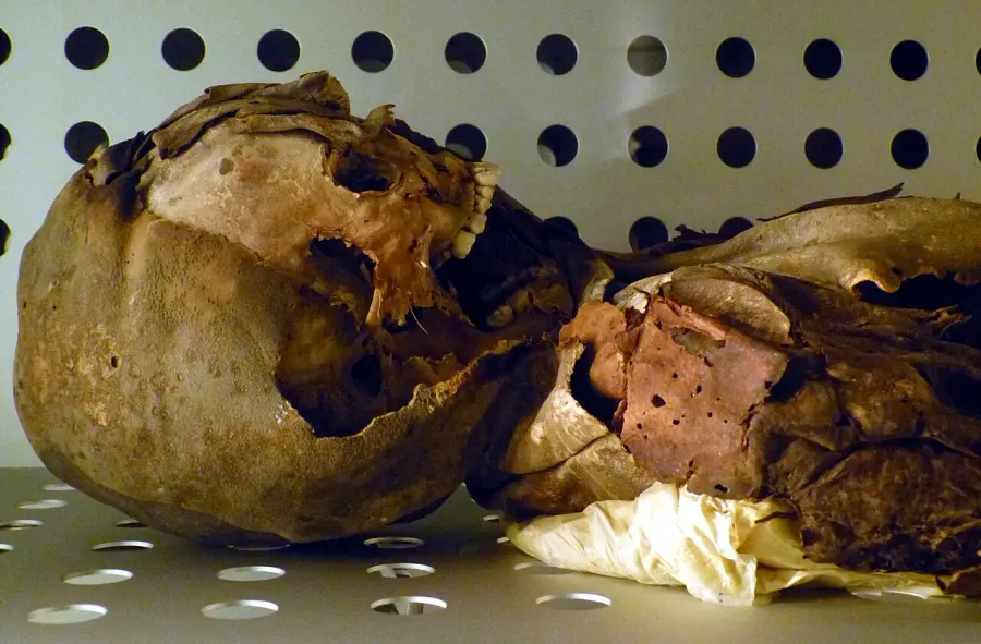 The Guanche mummies card