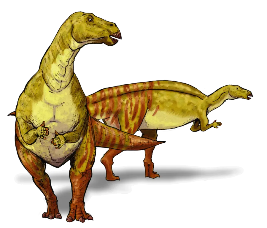La carte Nanyangosaurus
