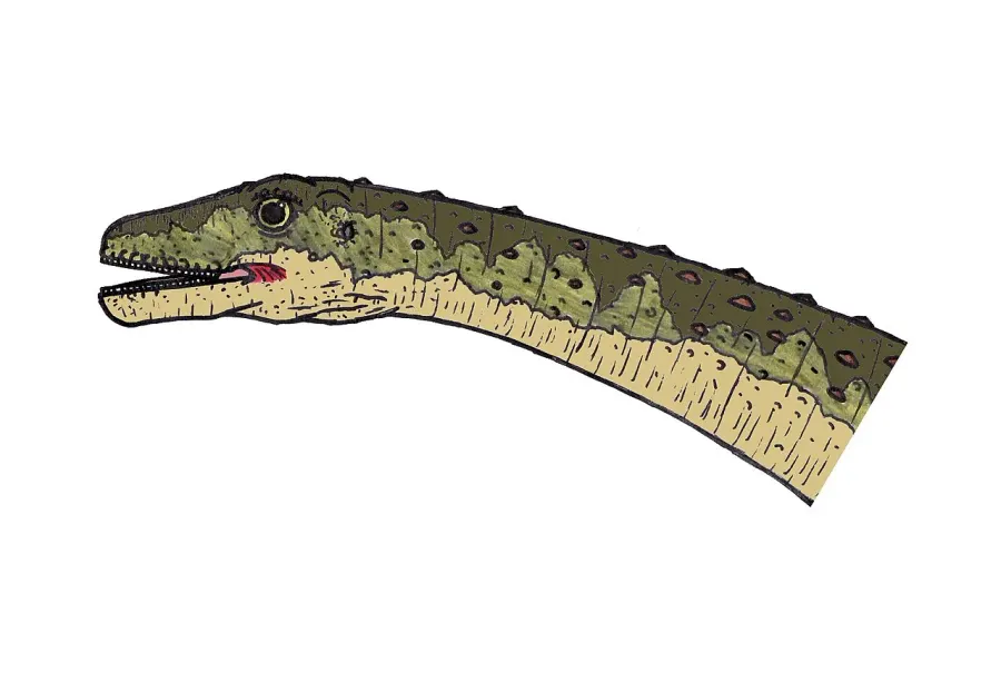 The Gondwanatitan card
