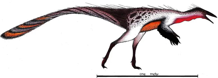 La carte Shenzhousaurus