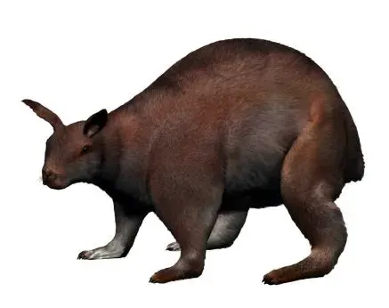 La carte Nuralagus