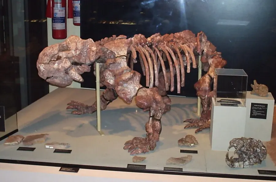 La carte Dinodontosaurus