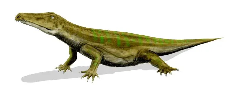 La carte Proterosuchidae