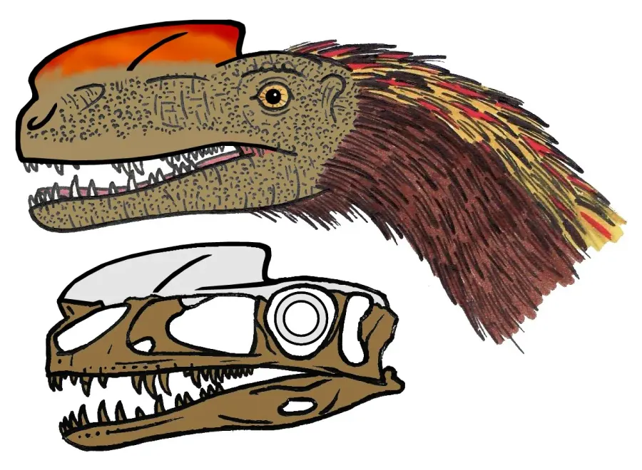 La carte Proceratosauridae