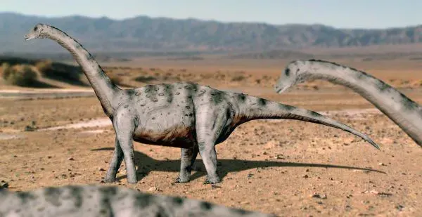 La carte Tapuiasaurus
