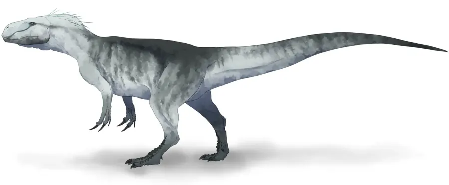La carte Xuanhanosaurus