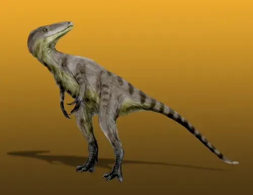The Xiongguanlong card