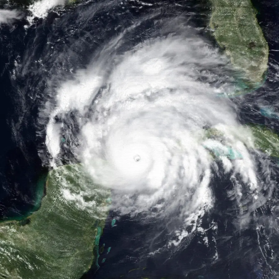 The Hurricane Allen card