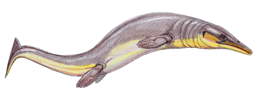 La carte Halisaurus
