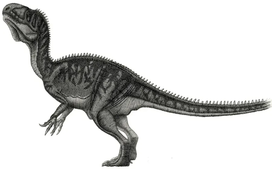 La carte Piveteausaurus