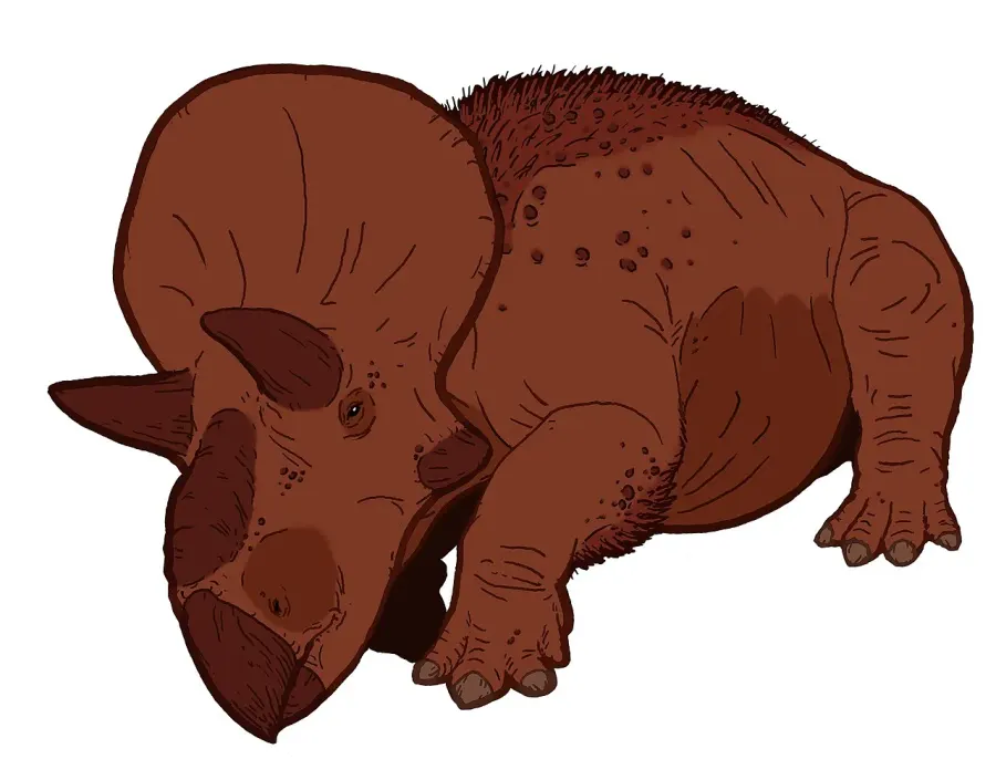 The Turanoceratops card