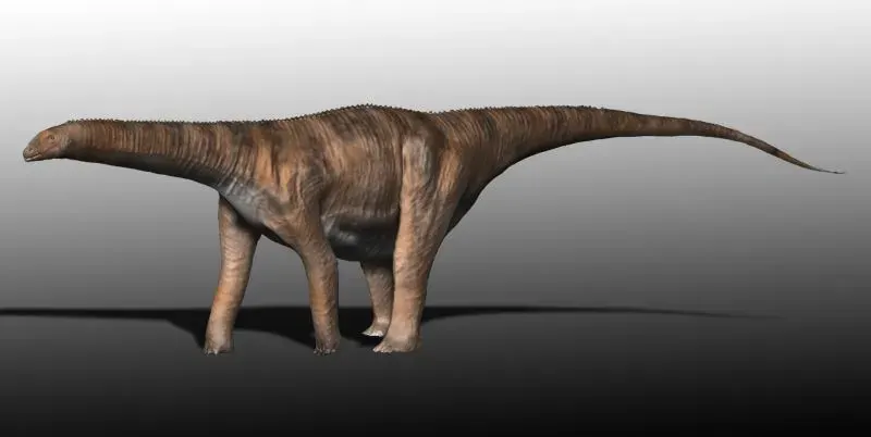 La carte Cetiosauridae