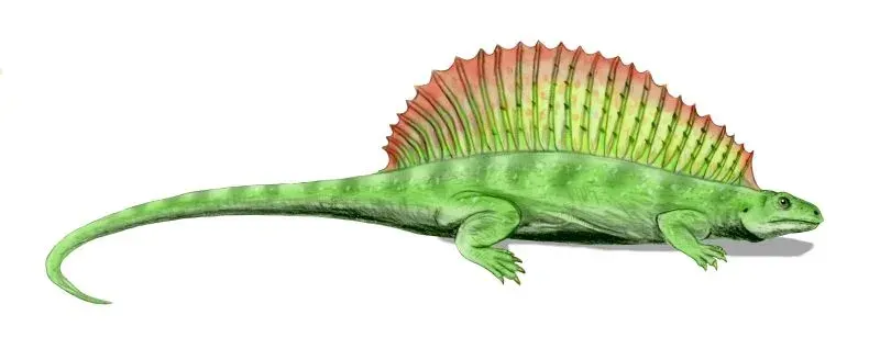 The Eupelycosauria card