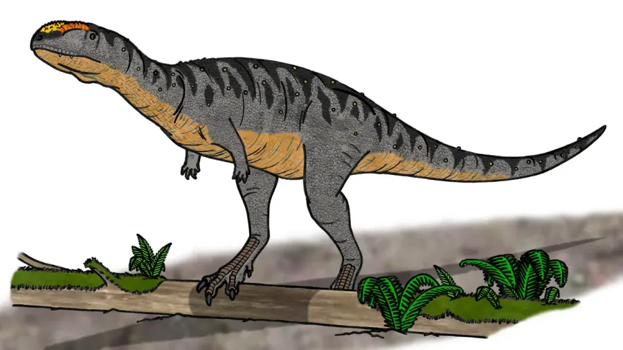 La carte Eoabelisaurus