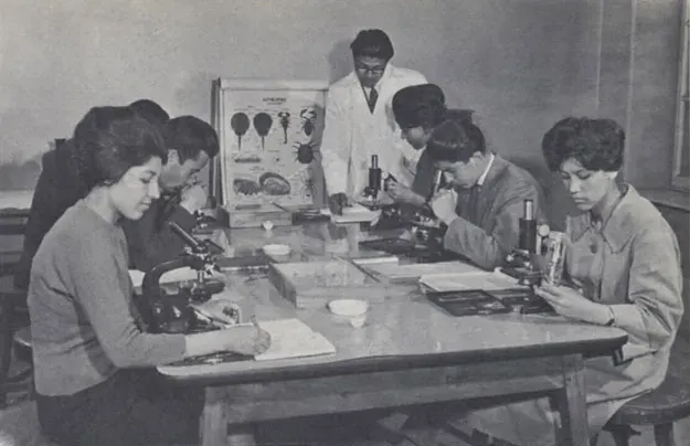 The Kabul University card