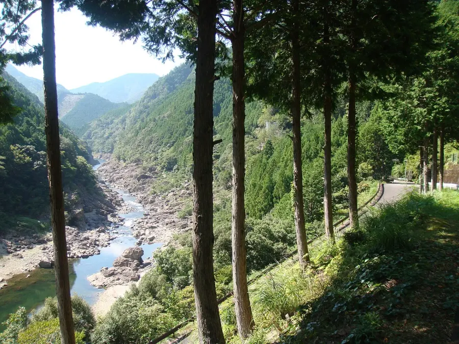 La carte Kitayama