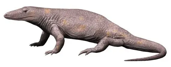 The Varanosaurus card
