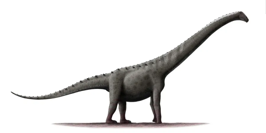 The Rinconsaurus card