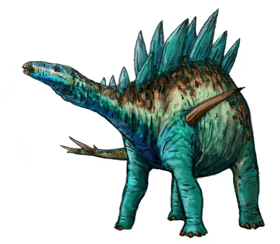 The Paranthodon card