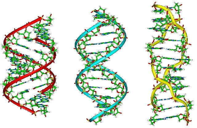 The Z-DNA card