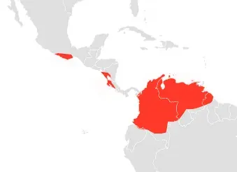 La carte Molossus pretiosus