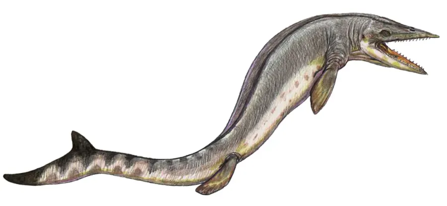 The Taniwhasaurus card
