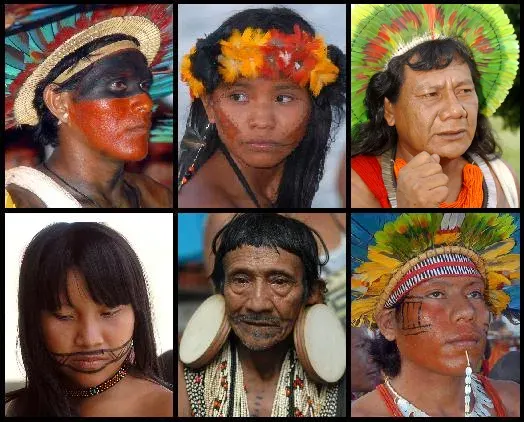 The Indigenous peoples in Brazil card