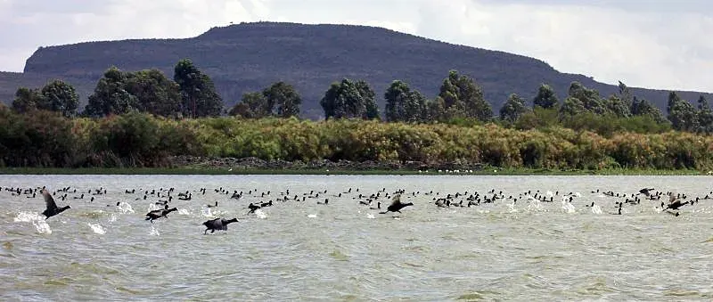 La carte Lac Naivasha