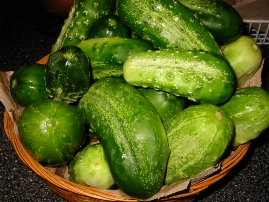 La carte Cornichon