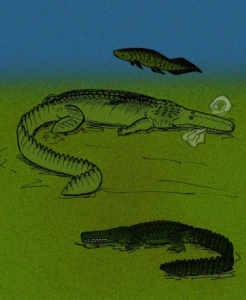 La carte Stomatosuchus