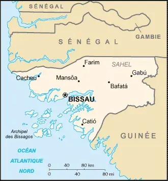 The 2025 Guinea-Bissau coup d'état card