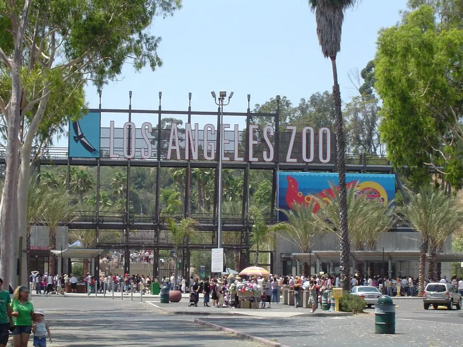 The Los Angeles Zoo card