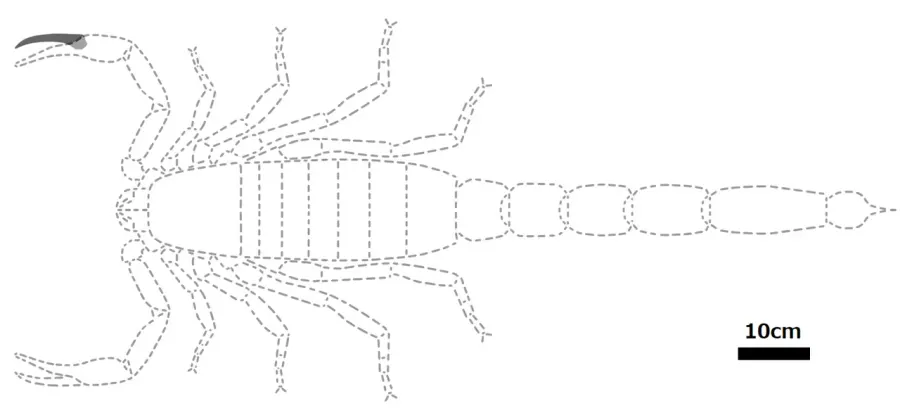 La carte Brontoscorpio