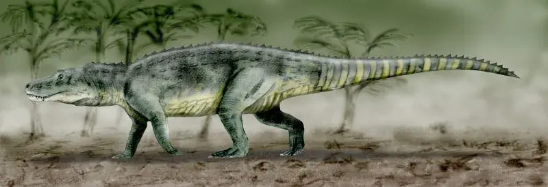 The Saurosuchus card